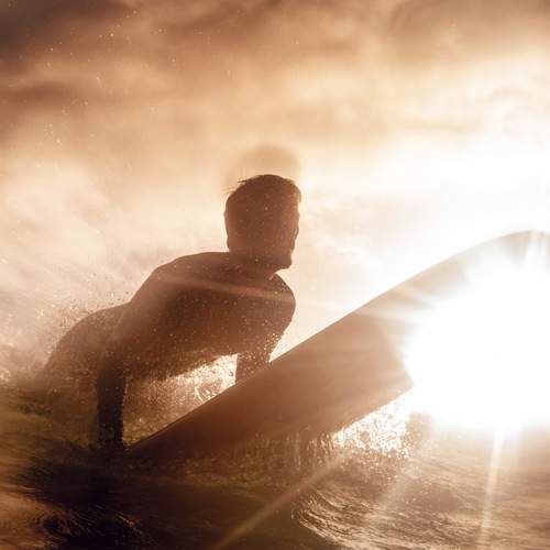 Photo #13534978