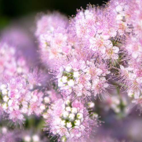 Photo #13535043