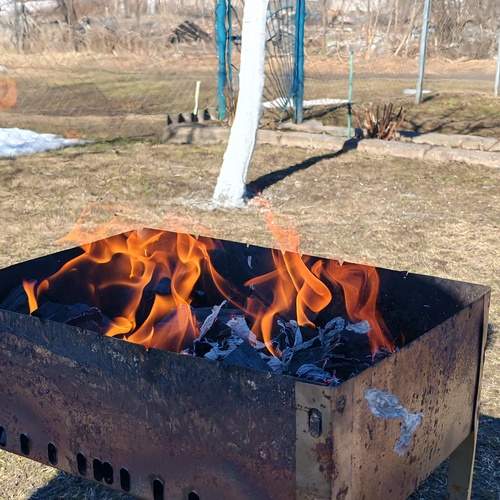 Photo #13535122