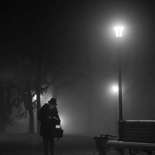 Photo #13535170