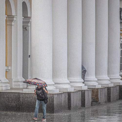 Photo #13535179