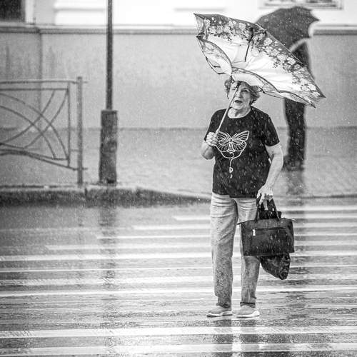 Photo #13535180