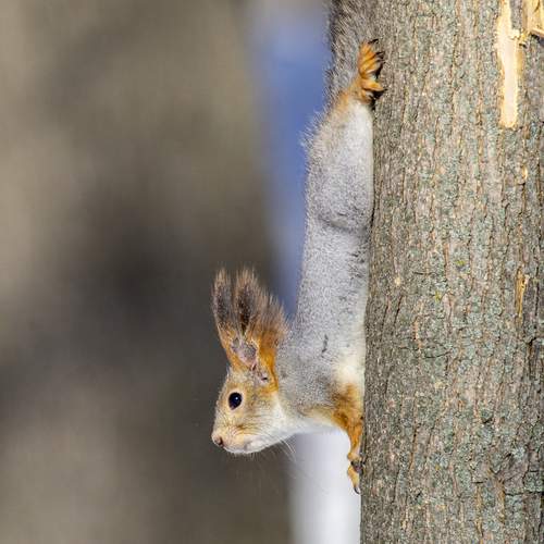 Photo #13535414