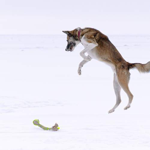 Photo #13535490