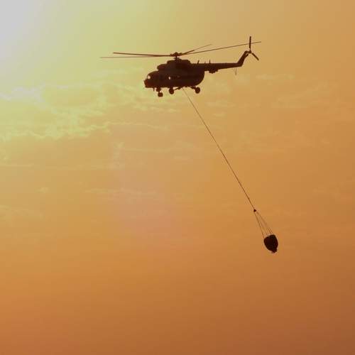 Photo #13535505