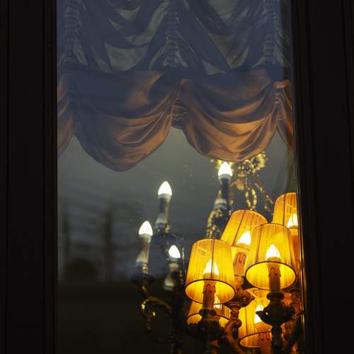 Photo #13535584