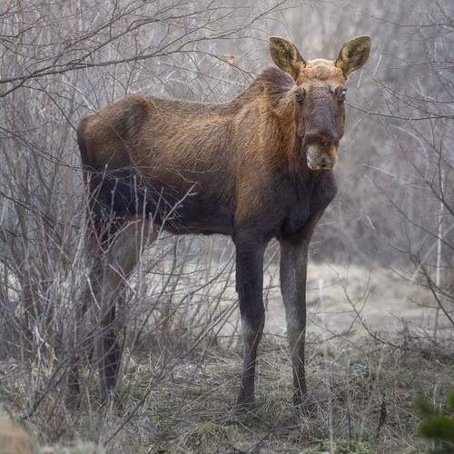 Photo #13535589