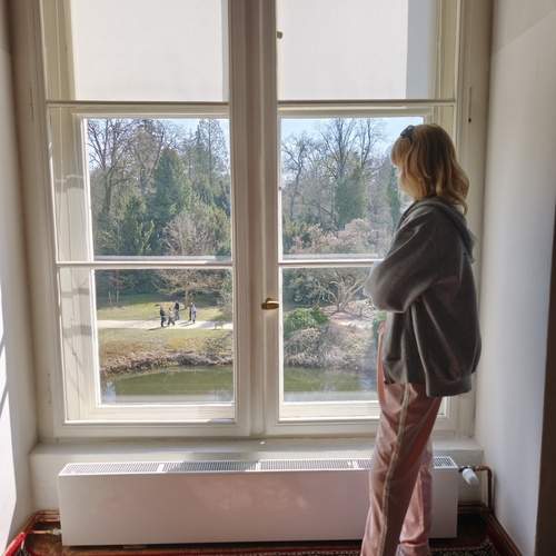Photo #13535662
