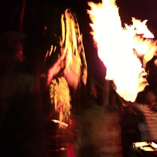 Photo #13535683