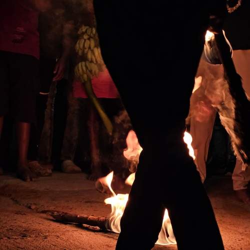 Photo #13535684