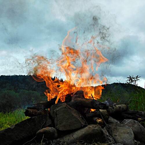 Photo #13535945