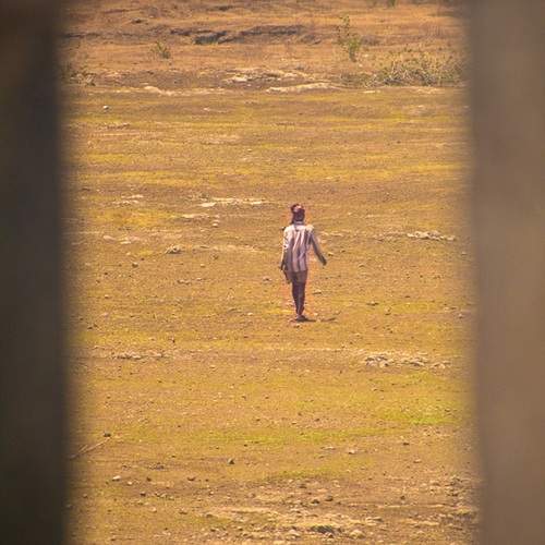 Photo #13536010