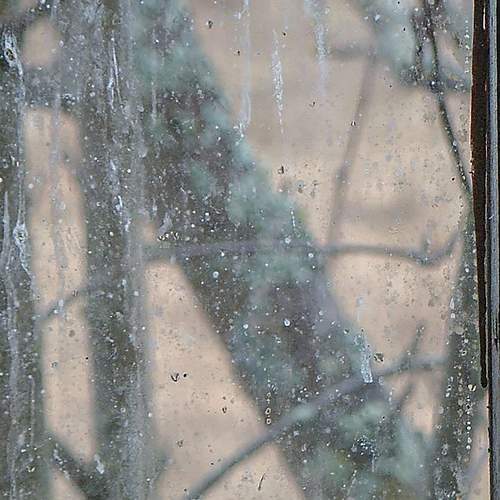 Photo #13536024