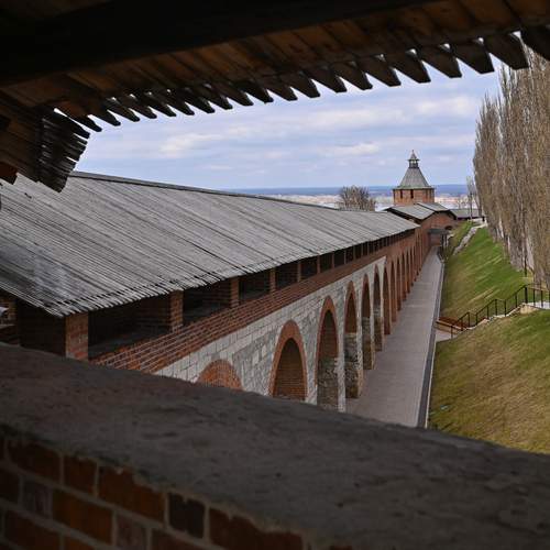 Наталья Сергеева