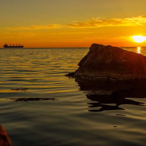 Photo #13536268