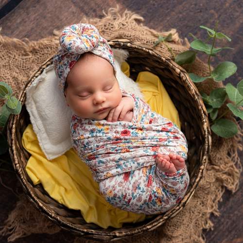 Photo #13536306