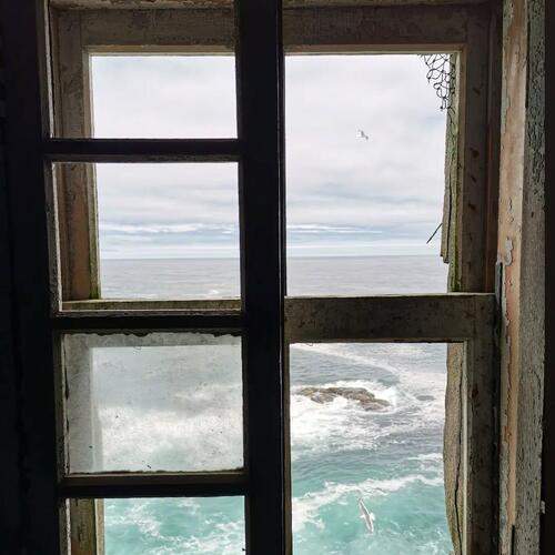 Photo #13536674