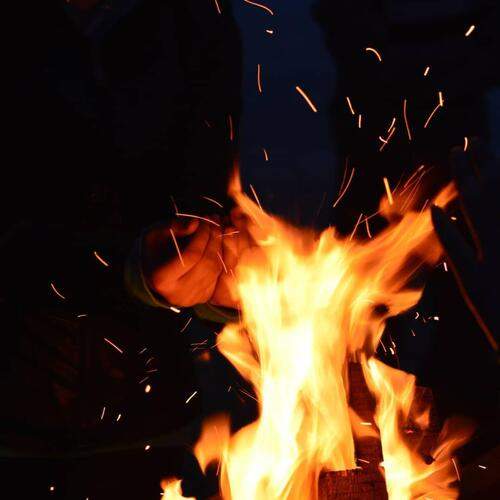 Photo #13536688