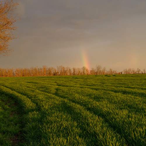 Photo #13536703