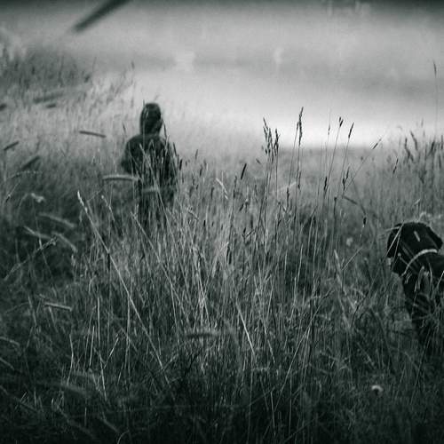 Photo #13536731