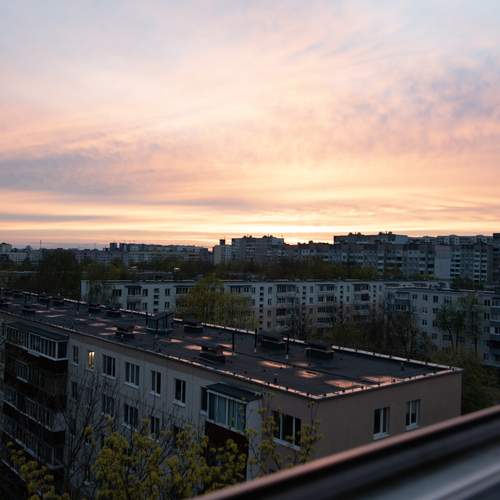 Photo #13536786