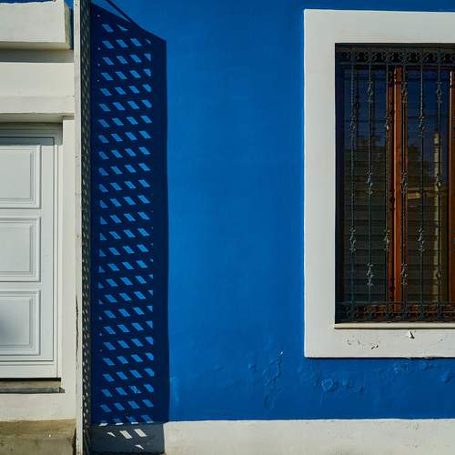 Photo #13536794