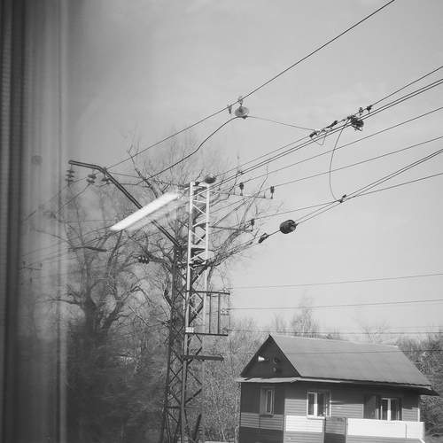 Photo #13536799