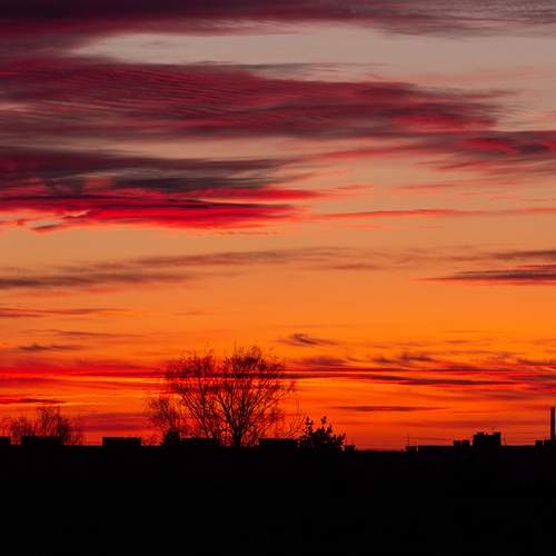 Photo #13536833