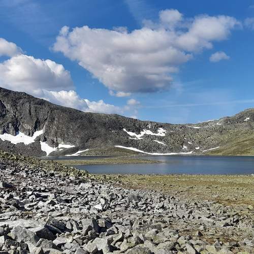 Photo #13536840