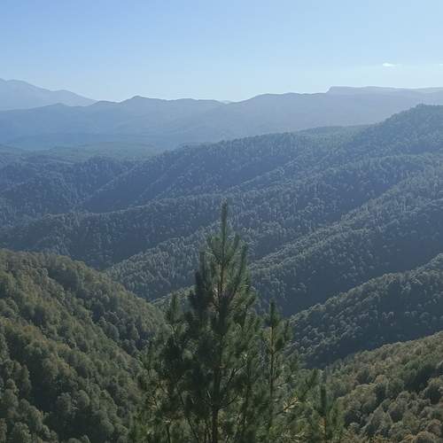 Photo #13536918