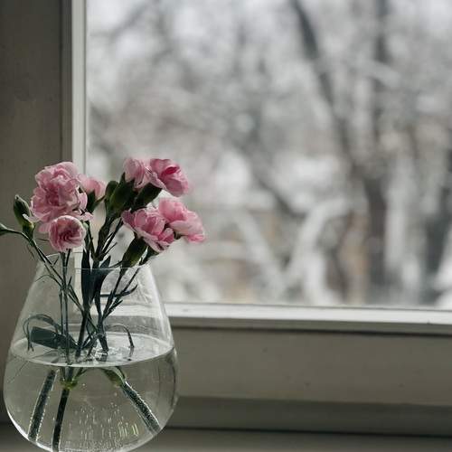 Photo #13536922