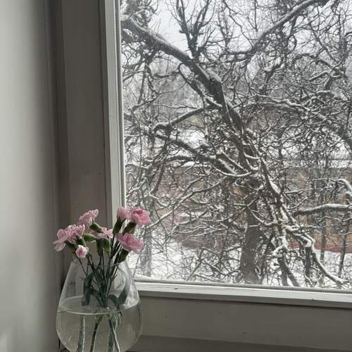 Photo #13536924