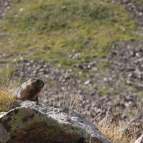 Photo #13537134