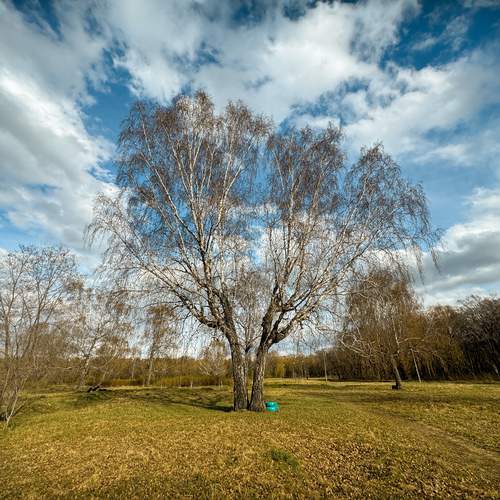 Photo #13537257