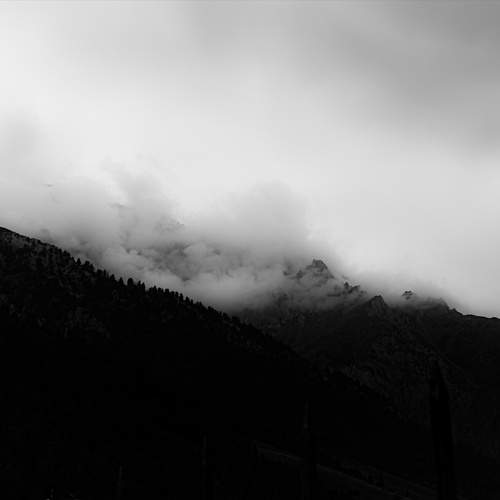 Photo #13537279