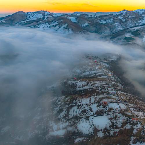Photo #13537467