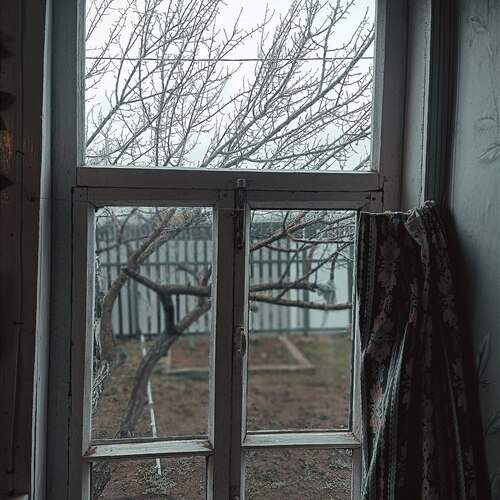 Photo #13537472