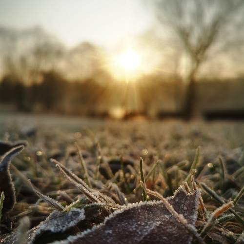 Photo #13537532