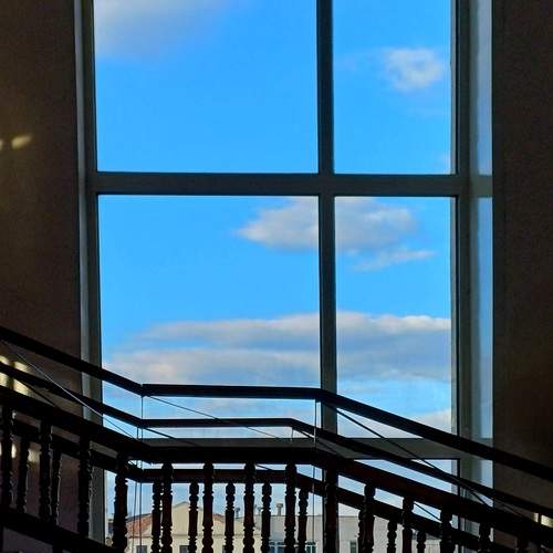 Photo #13537544