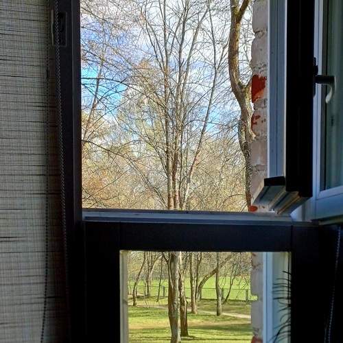 Photo #13537549