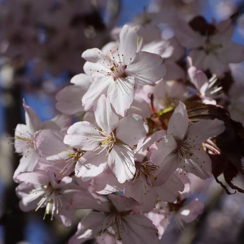 Photo #13537595