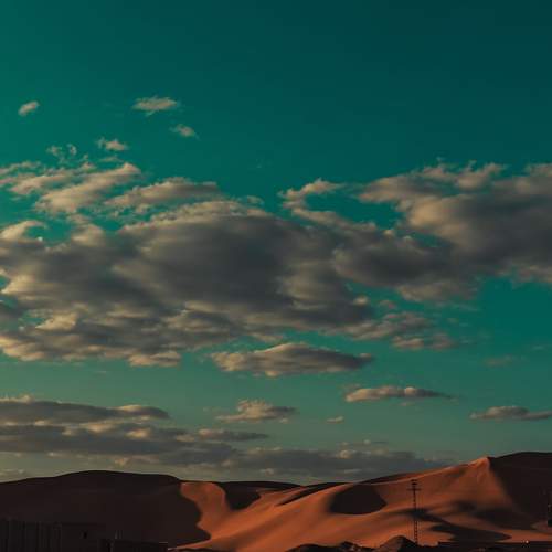 Photo #13537626