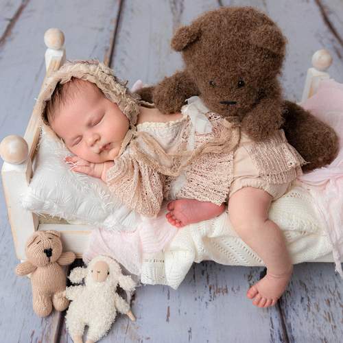Photo #13537637