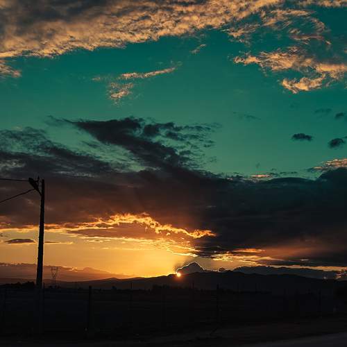 Photo #13537650