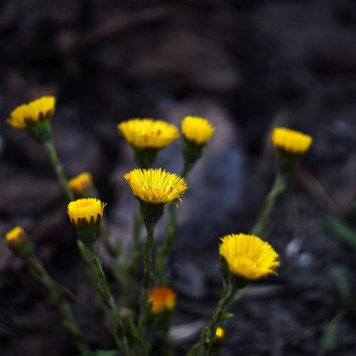 Photo #13537661