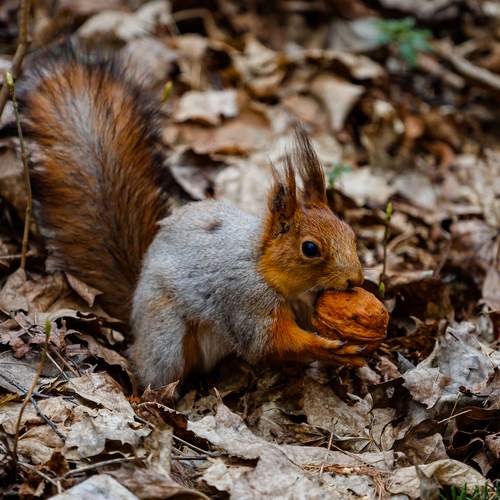Photo #13537735