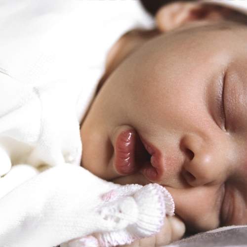 Photo #13537743