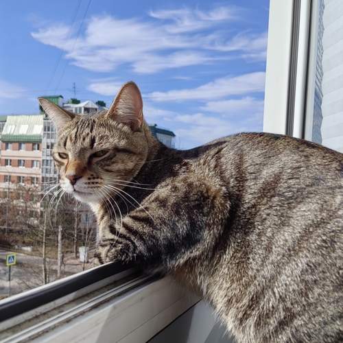 Photo #13537804