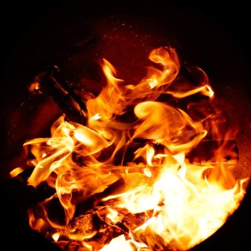 Photo #13537825