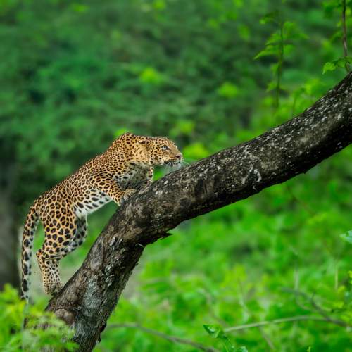 Photo #13537936